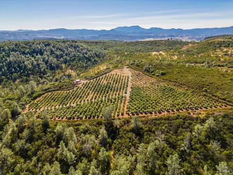 21715 Jerusalem Grade Rd, Middletown, CA 95461 photo 39