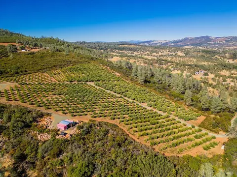 21715 Jerusalem Grade Rd, Middletown, CA 95461 photo 34