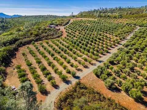21715 Jerusalem Grade Rd, Middletown, CA 95461 photo 28