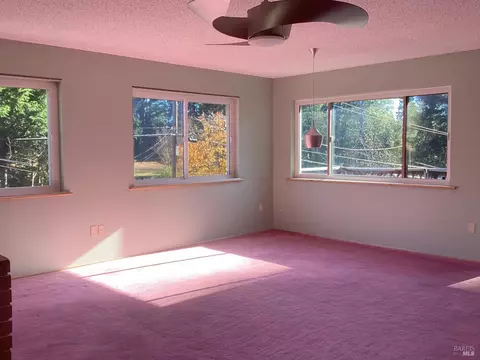 1416 Daphne Dr, Willits, CA 95490 photo 3