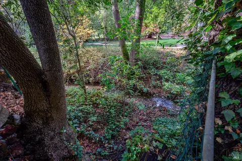 1098 W Standley St, Ukiah, CA 95482 photo 15