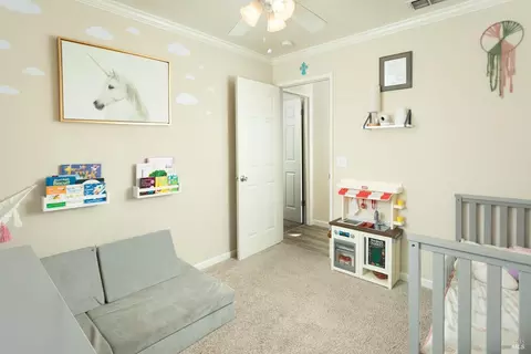 309 N Jefferson St, Dixon, CA 95620 photo 23