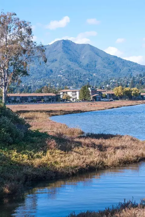 765 Miller Ave, Mill Valley, CA 94941 photo 31