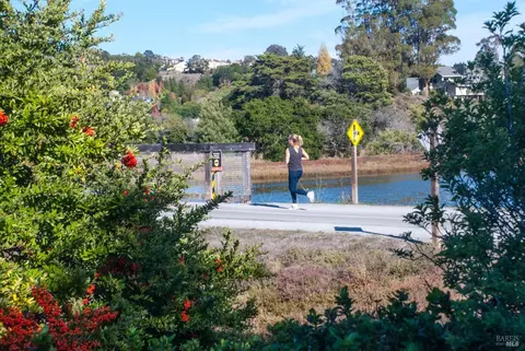 765 Miller Ave, Mill Valley, CA 94941 photo 33