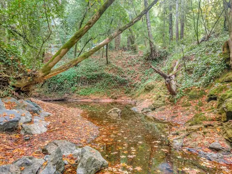 Undisclosed, San Geronimo, CA 94963 photo 33