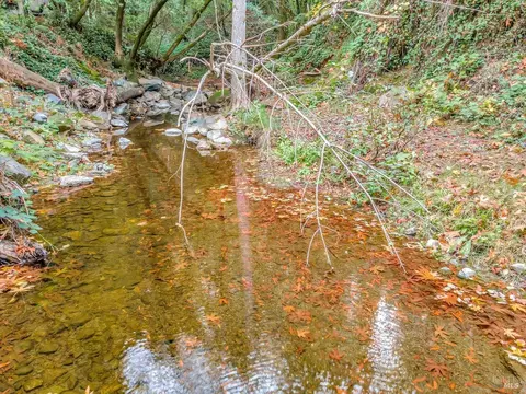 Undisclosed, San Geronimo, CA 94963 photo 28
