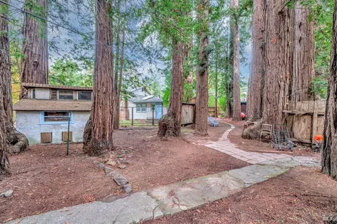 Undisclosed, San Geronimo, CA 94963 photo 14