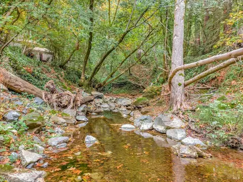 Undisclosed, San Geronimo, CA 94963 photo 30