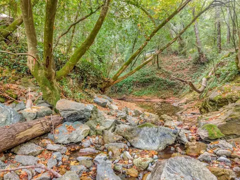 Undisclosed, San Geronimo, CA 94963 photo 32