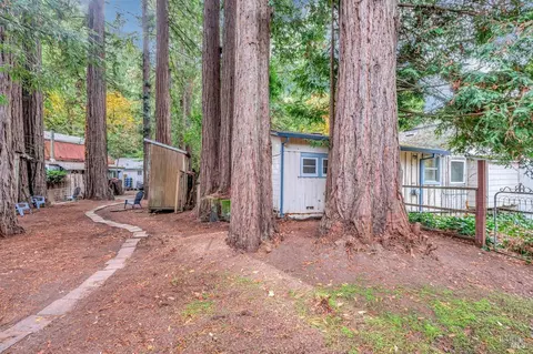 Undisclosed, San Geronimo, CA 94963 photo 21