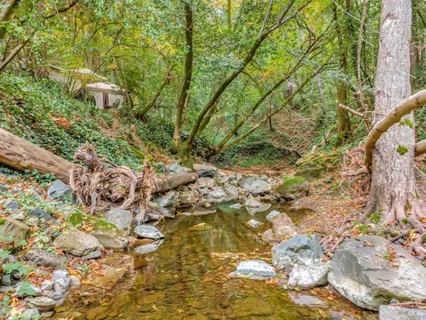 Undisclosed, San Geronimo, CA 94963 photo 31