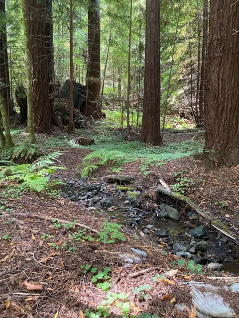 1545 Cazadero Hwy, Cazadero, CA 95421