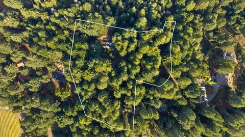 17500 Willow Creek Rd, Occidental, CA 95465 photo 9