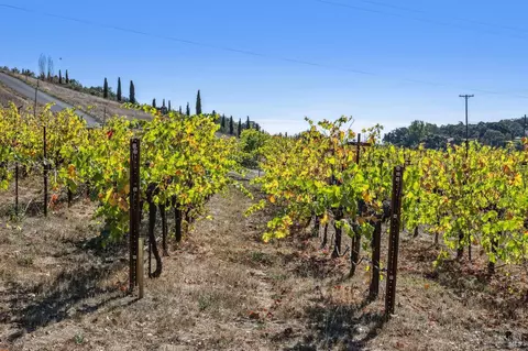 View/Area - 5120 Lovall Valley Loop Rd, Sonoma, CA 95476 photo 2 of 3