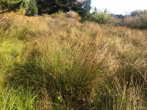 370 Juniper Rd, Bolinas, CA 94924