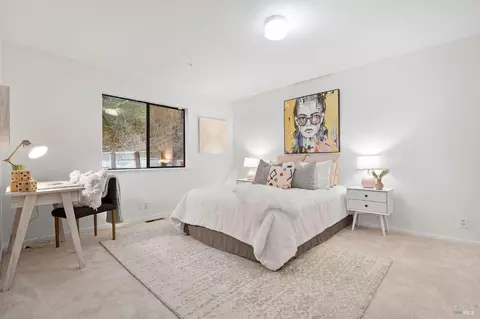 29 Summit Rd, San Anselmo, CA 94960 photo 49