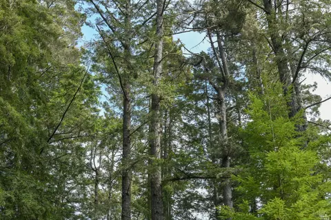 390 Big Tree Close, The Sea Ranch, CA 95497