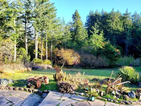 737 Jonive Rd, Sebastopol, CA 95472 photo 44