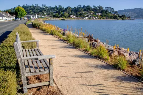 5 Palmer Ct, Tiburon, CA 94920 photo 41