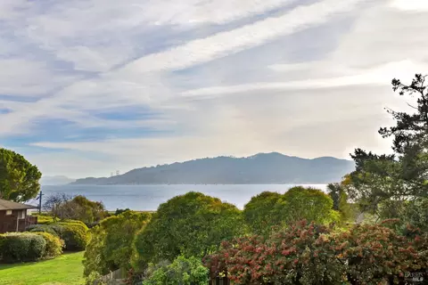 5 Palmer Ct, Tiburon, CA 94920 photo 30