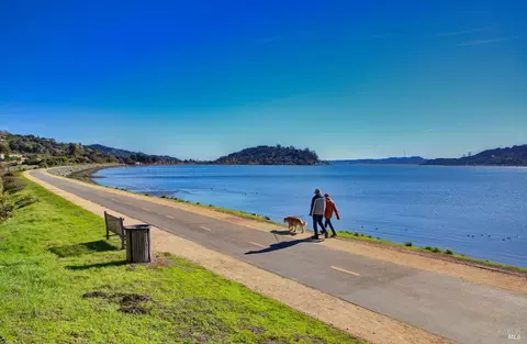 5 Palmer Ct, Tiburon, CA 94920 photo 37