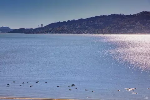 5 Palmer Ct, Tiburon, CA 94920 photo 36