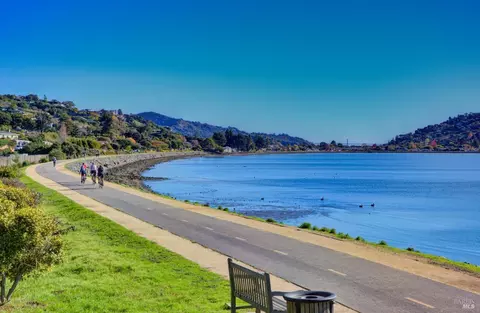 5 Palmer Ct, Tiburon, CA 94920 photo 38