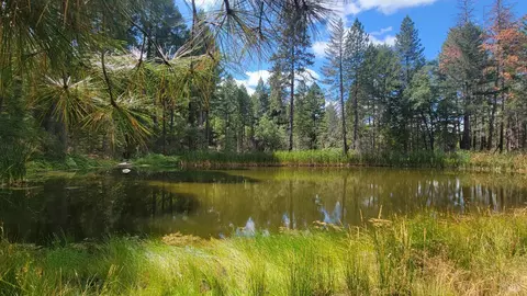 995 Bear Creek Rd, Lake, CA 95485