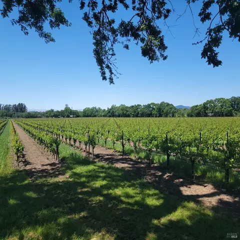 2705 River Rd, Windsor, CA 95492 photo 2