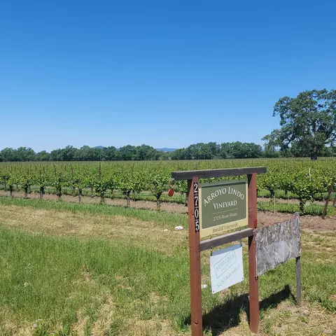 2705 River Rd, Windsor, CA 95492