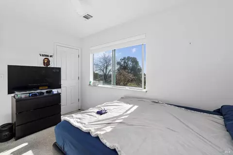 8558 Pheasant Rdg, Winters, CA 95694 photo 42