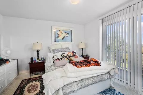 8558 Pheasant Rdg, Winters, CA 95694 photo 43