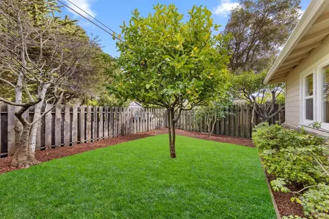 470 E Blithedale Ave, Mill Valley, CA 94941 photo 5