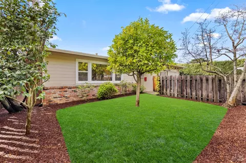 470 E Blithedale Ave, Mill Valley, CA 94941 photo 4