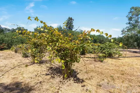 2003 Denmark St, Sonoma, CA 95476 photo 21