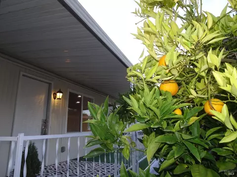 22 Lemon Tree Cir, Vacaville, CA 95687 photo 52