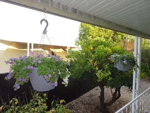 22 Lemon Tree Cir, Vacaville, CA 95687 photo 53