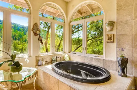 6400 Sharp Rd, Calistoga, CA 94515 photo 19