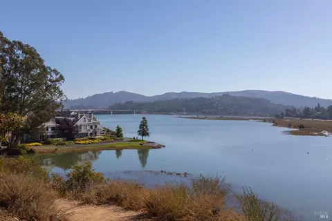 View/Area - 16 Eucalyptus Knoll St, Mill Valley, CA 94941 photo 9 of 12