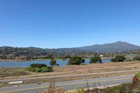 View/Area - 16 Eucalyptus Knoll St, Mill Valley, CA 94941 photo 1 of 12