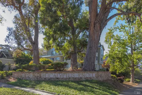 Exterior - 16 Eucalyptus Knoll St, Mill Valley, CA 94941 photo 14 of 20