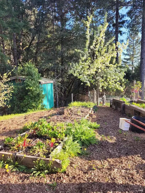 27400 Ridge Rd, Willits, CA 95490 photo 20