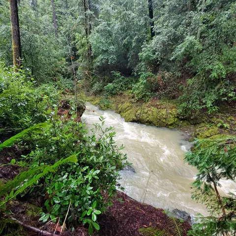 Other - 13251 Irmulco Rd, Willits, CA 95490 photo 9 of 9