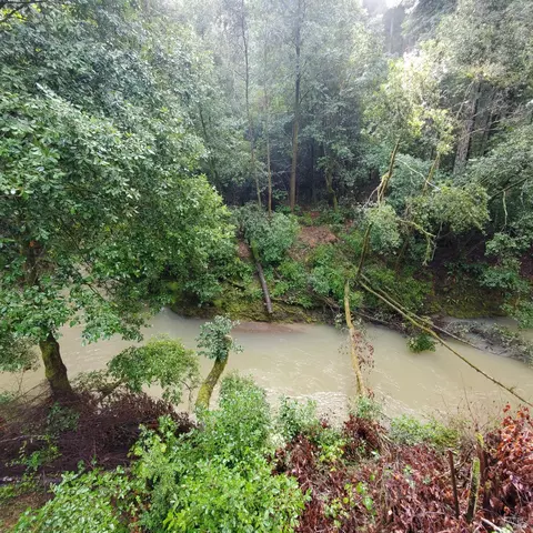 View/Area - 13251 Irmulco Rd, Willits, CA 95490 photo 4 of 4