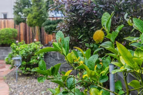 3268 Terrace Beach Dr, Vallejo, CA 94591 photo 29