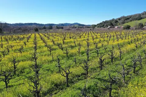 22575 River Rd, Geyserville, CA 95441 photo 29