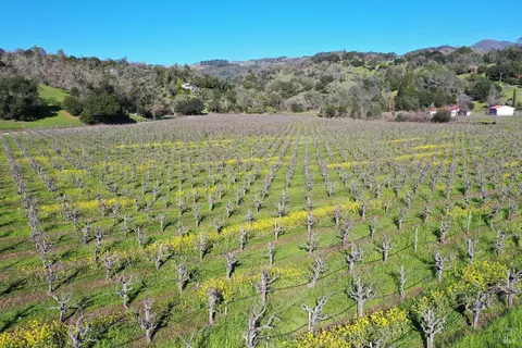 22575 River Rd, Geyserville, CA 95441 photo 16