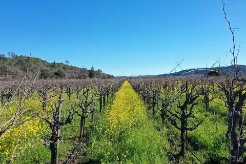22575 River Rd, Geyserville, CA 95441 photo 9