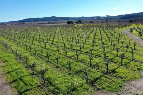 22575 River Rd, Geyserville, CA 95441 photo 8