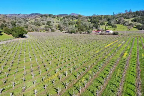 22575 River Rd, Geyserville, CA 95441 photo 4
